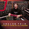 analogtrio_synthimentalmoog.jpg (45861 bytes)