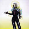bjork_vlnicura.jpg (15042 bytes)