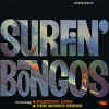 surfinbongosstereo.jpg (18578 bytes)