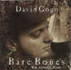 davidgogo_barebones_acousticblues.jpg (36428 bytes)