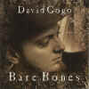davidgogo_barebones.jpg (34495 bytes)