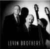 levinbrothers_st.jpg (20489 bytes)