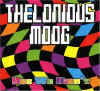 theloniousmoog_yeswedidnt.jpg (33697 bytes)