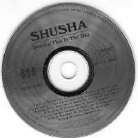 Shul.jpg (27196 bytes)