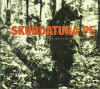 skordatura_pe_howtochase.jpg (45739 bytes)