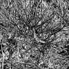 pv_fullmetalcarpet.jpg (76785 bytes)
