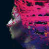 stevenwilson_handcannoterase_book.jpg (38113 bytes)